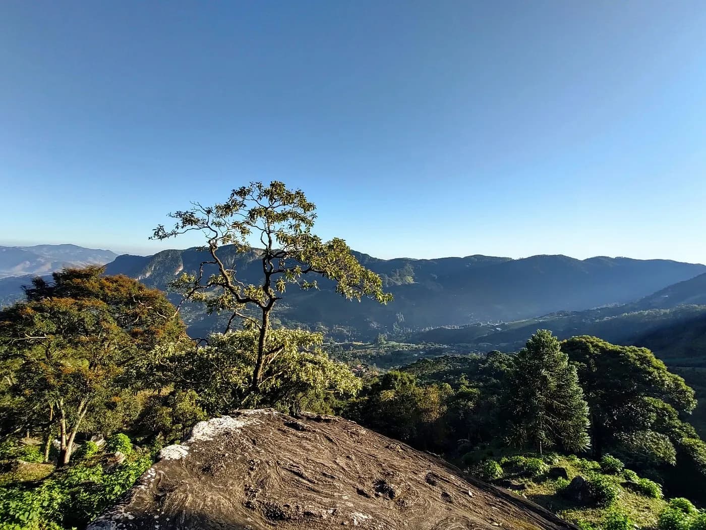 Laje de rocha no alto da trilha, com uma árvore solitária e o vale de São Bento aberto ao fundo