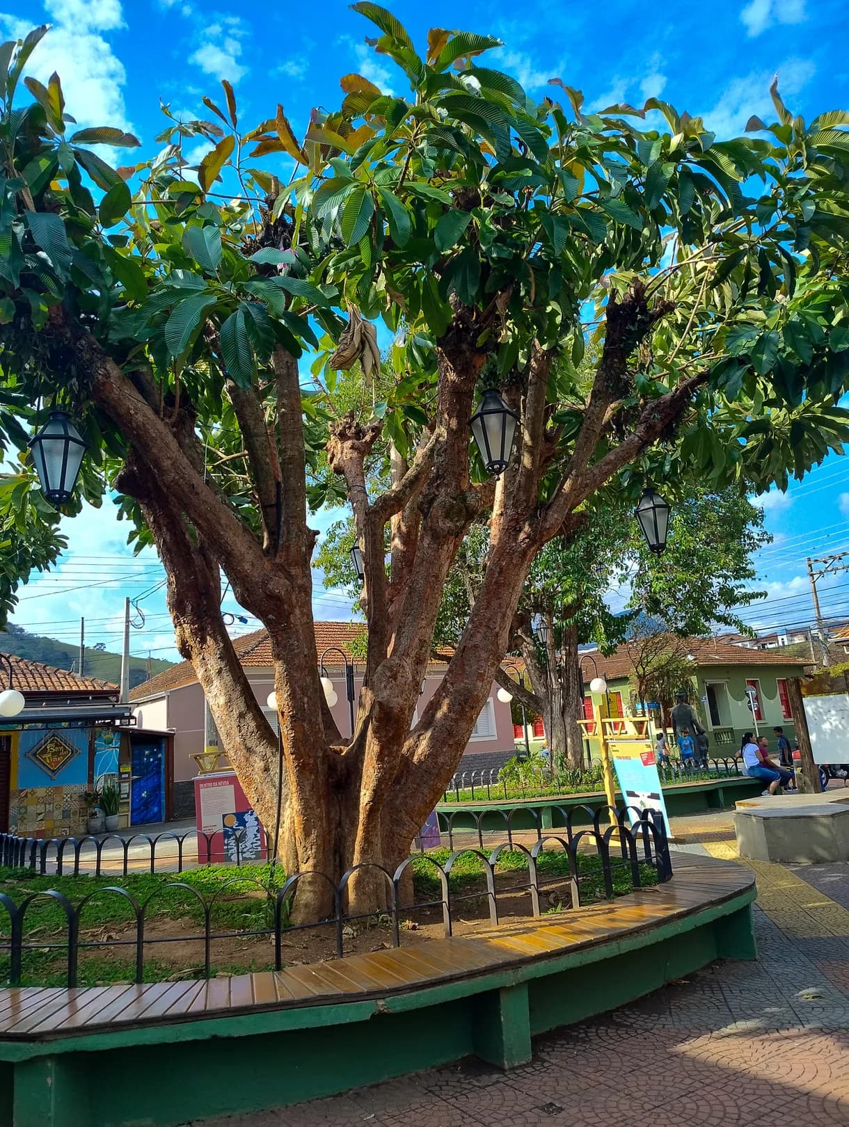 Praça Monsenhor Pedro em dia de céu azul, com a árvore central, o banco circular e os quiosques em volta