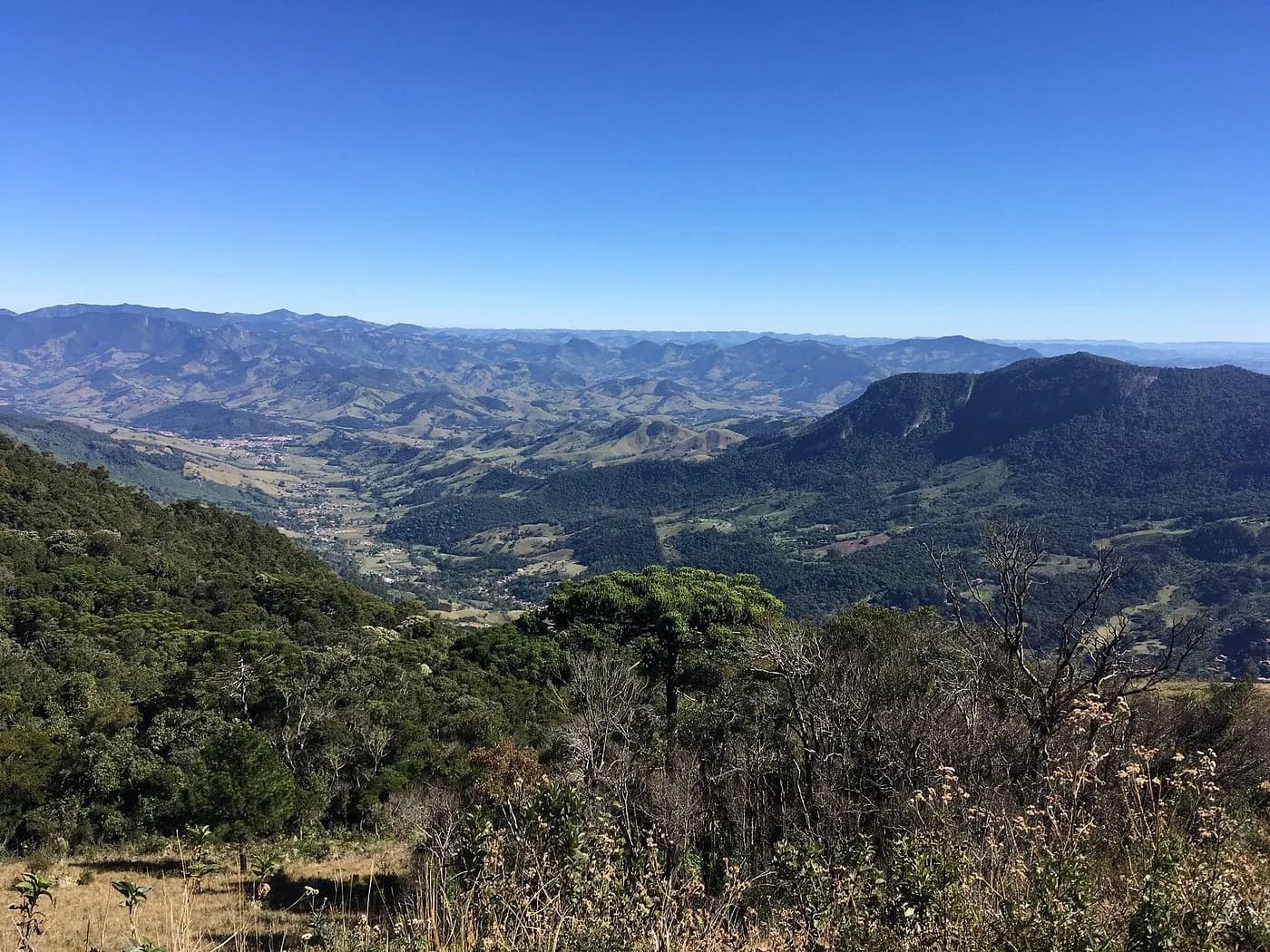 Vale de São Bento visto da rampa, com araucárias em primeiro plano e a serra ao fundo